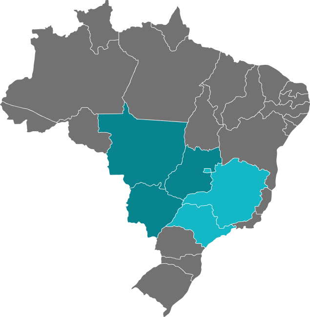 default/image/several/map-brasil.png